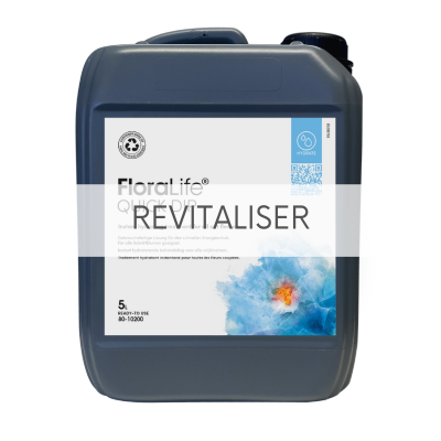 Revitaliser